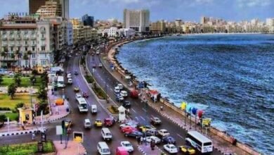 الاسكندرية-Trans2Day