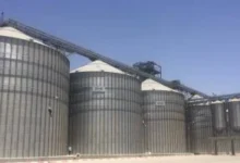 صوامع-القمح
