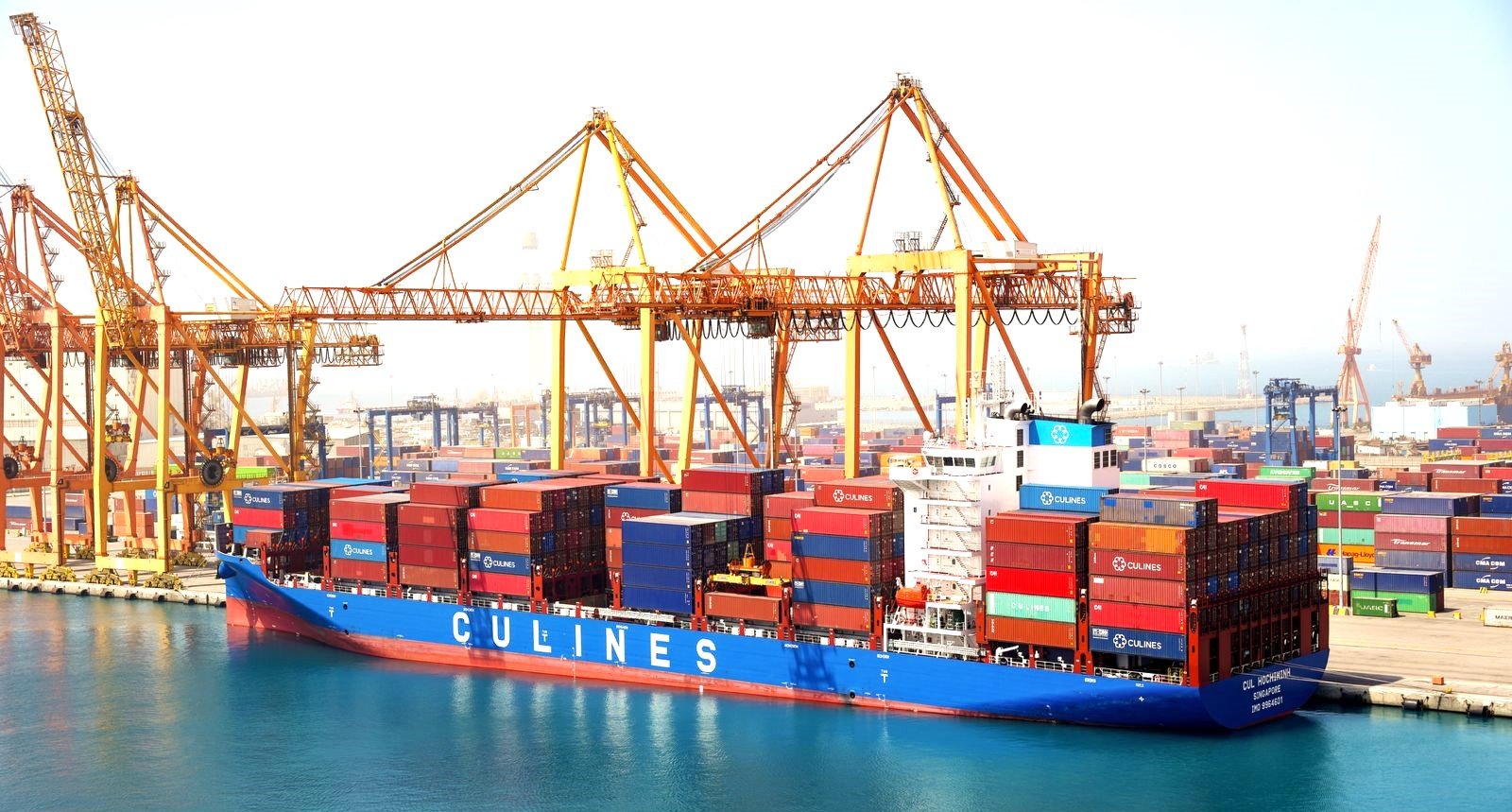 خط CULINE الصيني