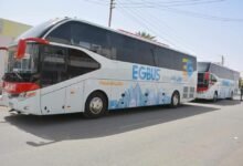 إيجي-باص