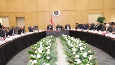 كامل الوزير نائب رئيس مجلس الوزراء