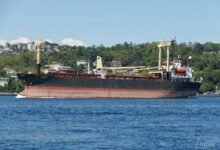 موانى-البحر-الاحمر