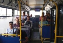 الأتوبيس الترددى