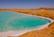 مرسى مطروح
