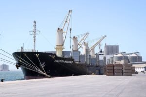 ميناء_دمياط_Trans2Day