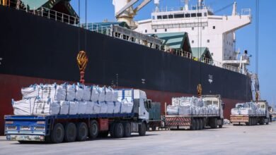 ميناء دمياط