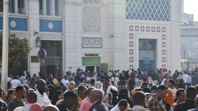 العودة_الطوعية_Trans2Day