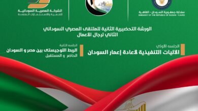 الورشة الثانية للملتقى المصري السوداني