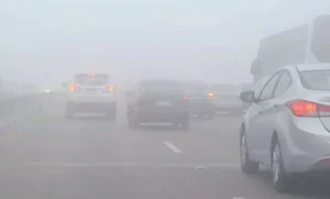 شبورة_Trans2Day