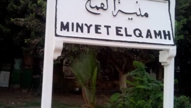 محطة_منية_القمح_TRans2Day
