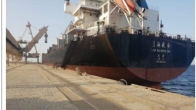 موانى_البحر_الأحمر_Trans2Day