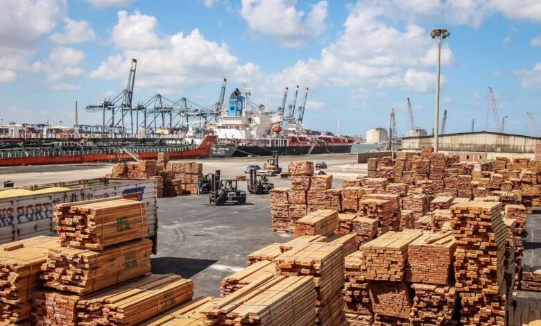 ميناء-دمياط_Trans2Day