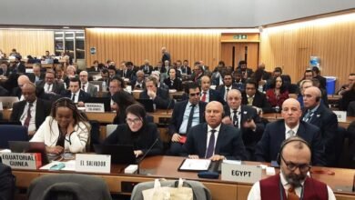 المنظمة البحرية الدولية