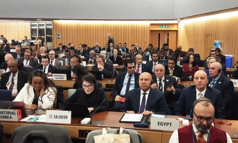 المنظمة البحرية الدولية