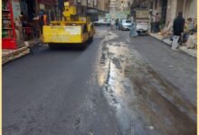 الاسكندرية