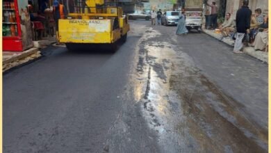 الاسكندرية