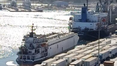 موانى_البحر_الأحمر_Trans2Day