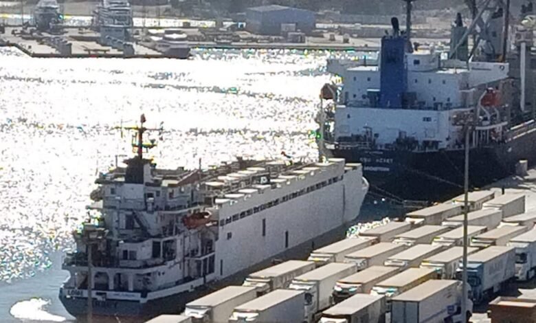 موانى_البحر_الأحمر_Trans2Day