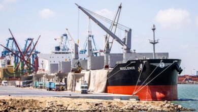 ميناء_دمياط_Trans2Day