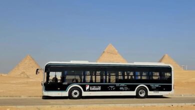 أتوبيس_شركة_النصر