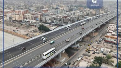 محافظة_الإسكندرية_كوبرى_العامرية