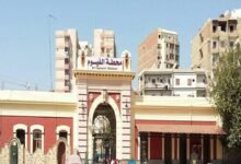 محطة_الفيوم_Trans2Day