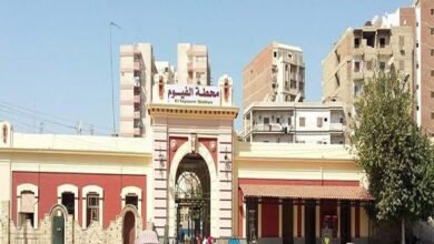 محطة_الفيوم_Trans2Day