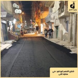 الإسكندرية_المنتزة_Trans2Day