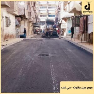 الإسكندرية_عين_جالوت_Trans2Day