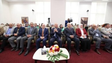 الأمهات المثاليات