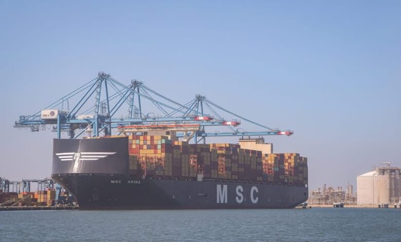 سفينة_حاويات_ميناء_دمياط