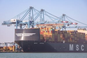 سفينة_حاويات_ميناء_دمياط