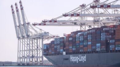 سفينة_حاويات_ميناء_دمياط