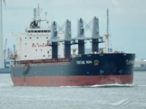 موانئ_البحر_الأحمر_Trans2Day