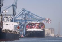 ميناء_دمياط_Trans2Day